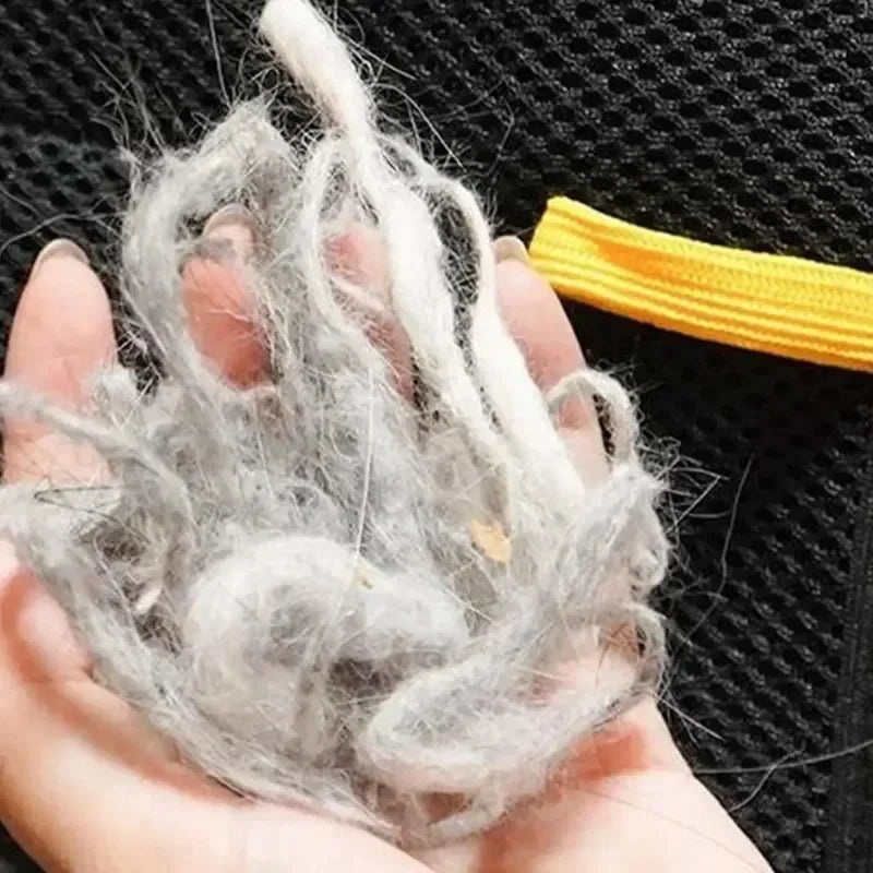 Pet Hair Removal Gloves Depilation Brushing Tools For Dog Cat Cleaning Soft Grooming Brush Efficient Hair Remover From Clothes